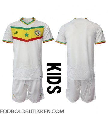 Senegal Hjemmebanetrøje Børn VM 2022 Kortærmet (+ Korte bukser)